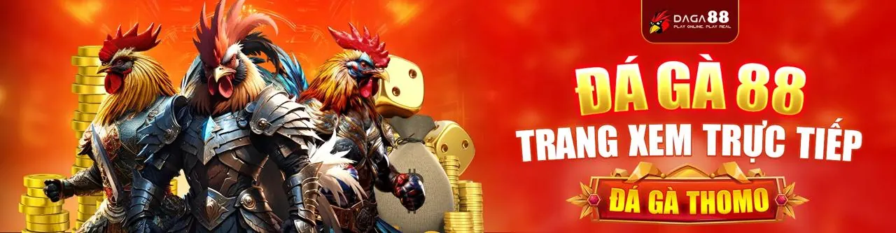 Giao diện cá cược trực tiếp với tỷ lệ cược cập nhật liên tục